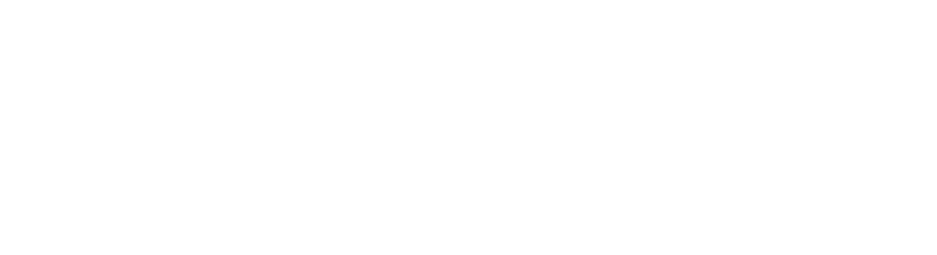 Vitreo Lab