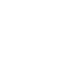Vitreo Lab