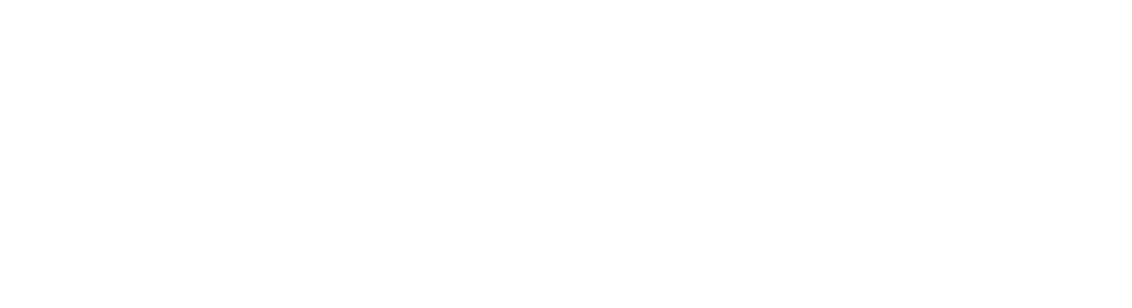 Vitreo · Laboratorio Dental